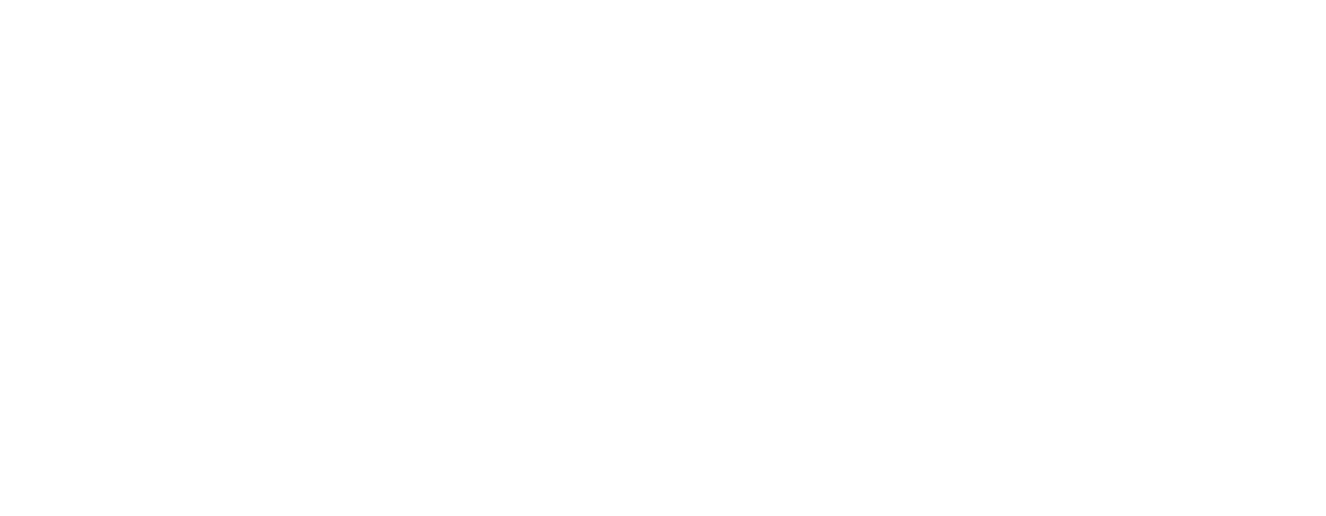 Ecom Brands